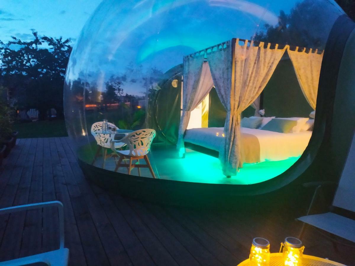 Remanso De Trasfontao Casa Das Arbores & Bubble Silleda Exteriör bild